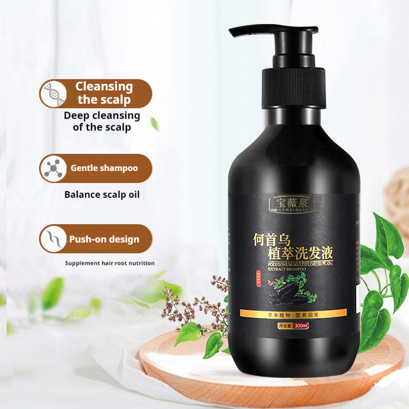 Plant Herbal Polygonum Multiflorum Shampoo Oil Control Anti-dandruf And Relieve Itching