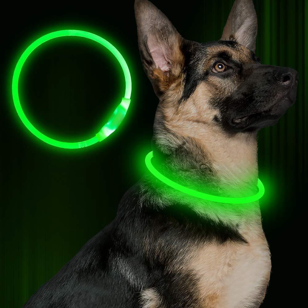 Pet Flashing Collar USB Rechargeable Glowing Necklace Safety Collar Light Up Collars For Night Walking Electric Dog Collar Neon - EL CHEG