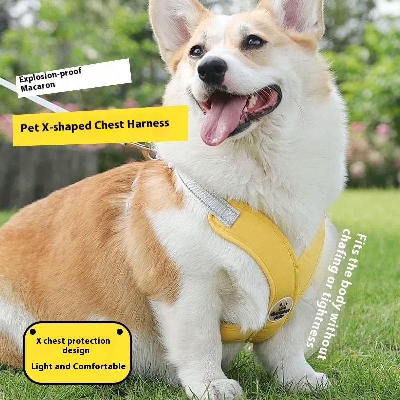 New Pet Vest Hand Holding Rope