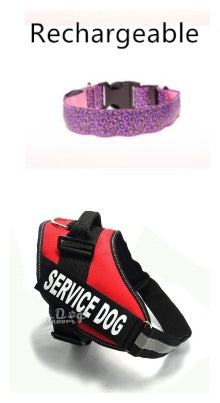 LED Dog Collar Safety Adjustable Nylon Leopard Pet Collar - EL CHEG