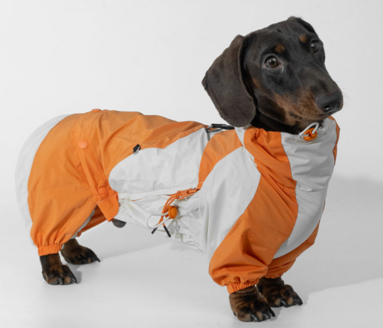 Pet Winter Color Matching Clothes