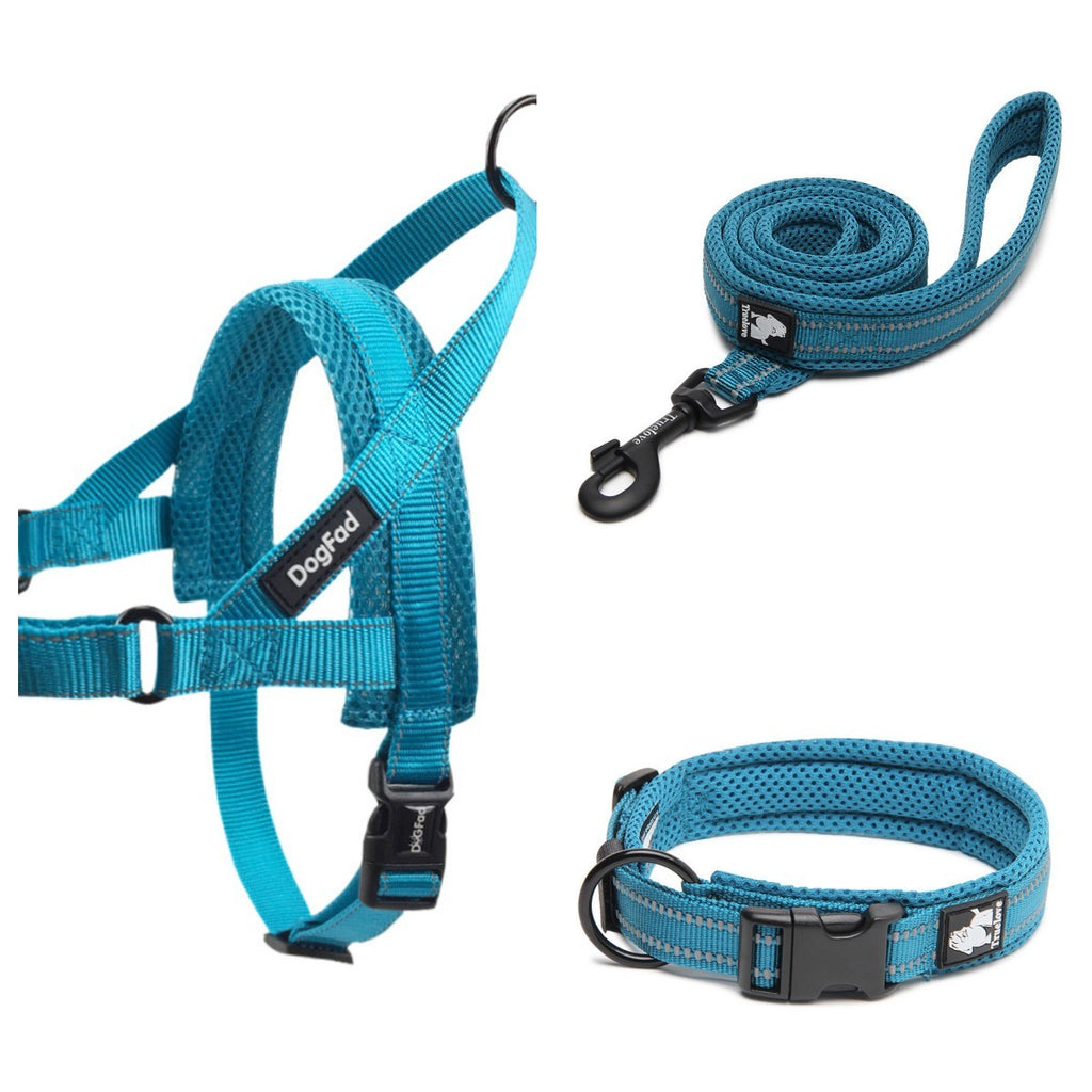 Pet dog leash - EL CHEG