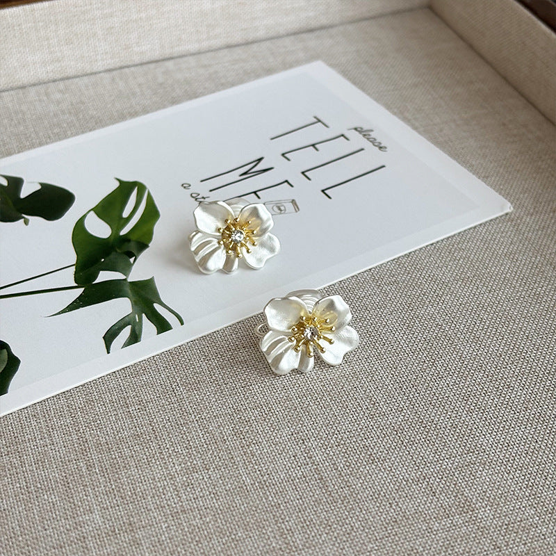 Special-interest Design Temperament Commute Senior Non-piercing Earrings