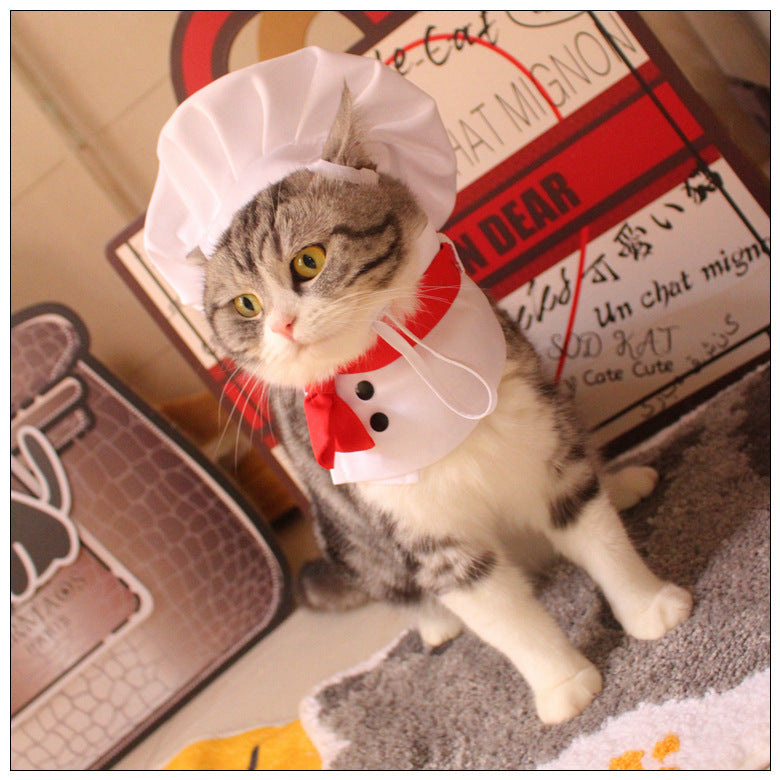 Dog Kitchen God Pet Cloak Hat Dogs And Cats Funny