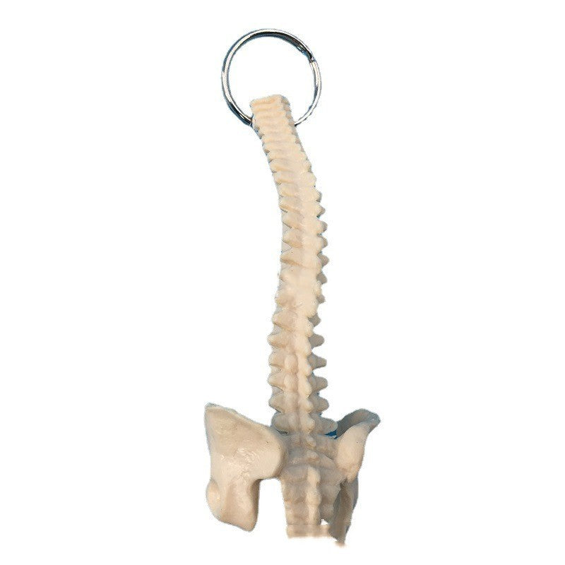 Human Spine Keychain Skeleton Model